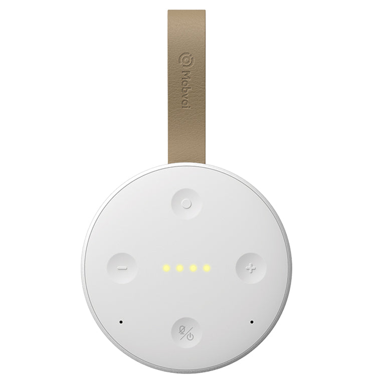 TicHome Mini