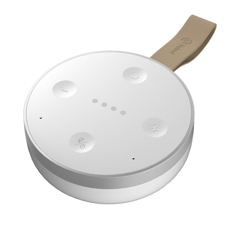 TicHome Mini